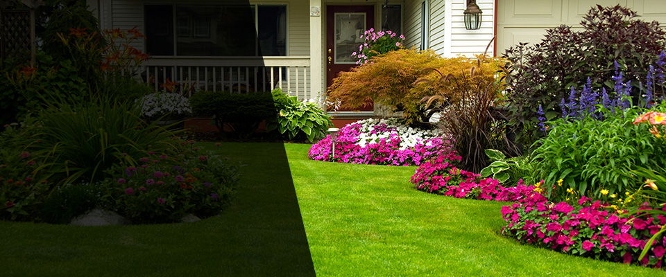 Maurice Landscapers