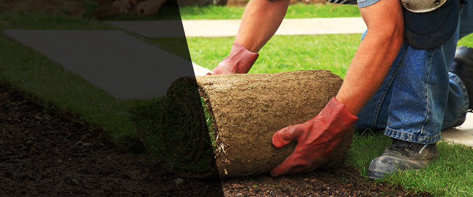 Maurice Landscapers